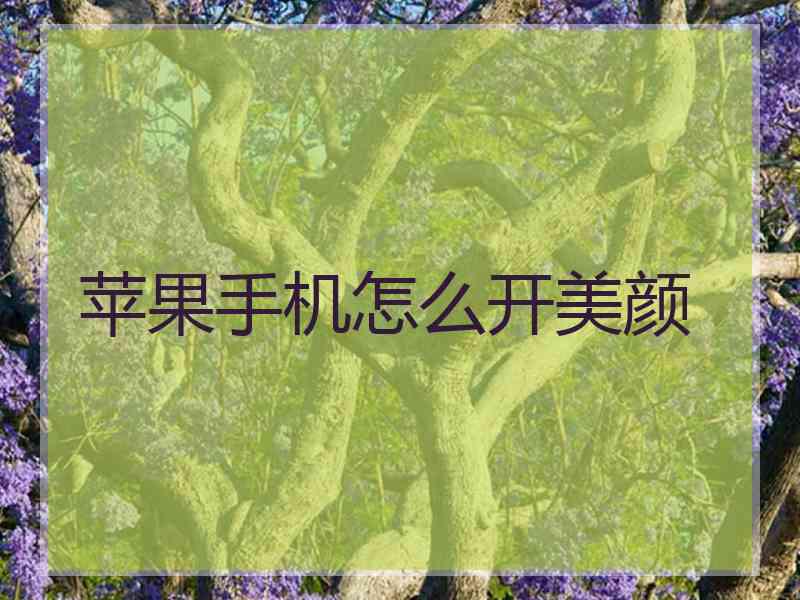 苹果手机怎么开美颜