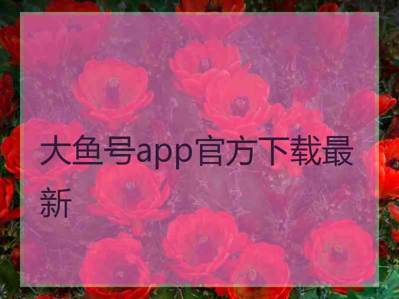 大鱼号app官方下载最新