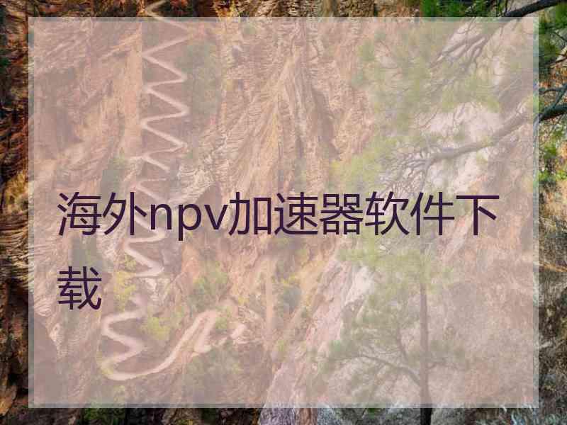 海外npv加速器软件下载