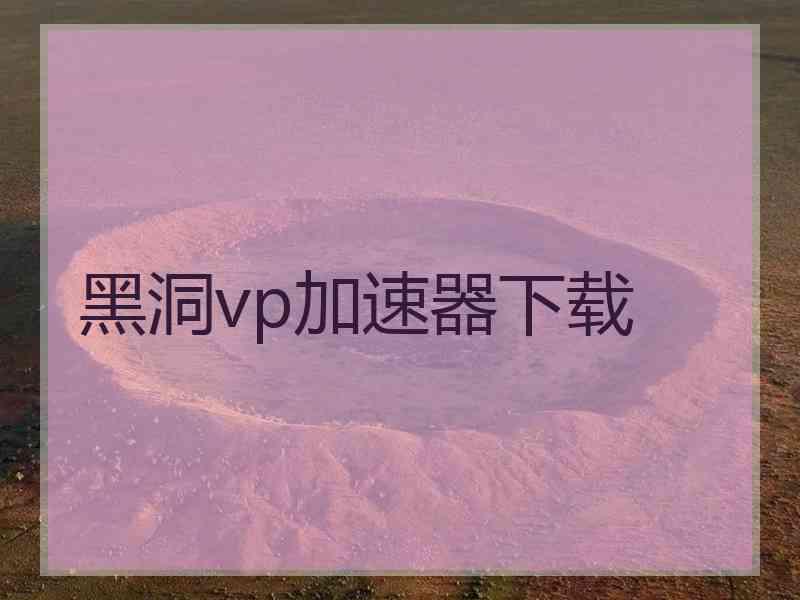 黑洞vp加速器下载