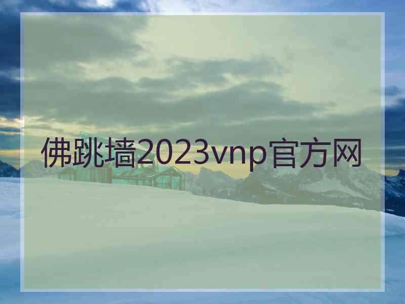 佛跳墙2023vnp官方网