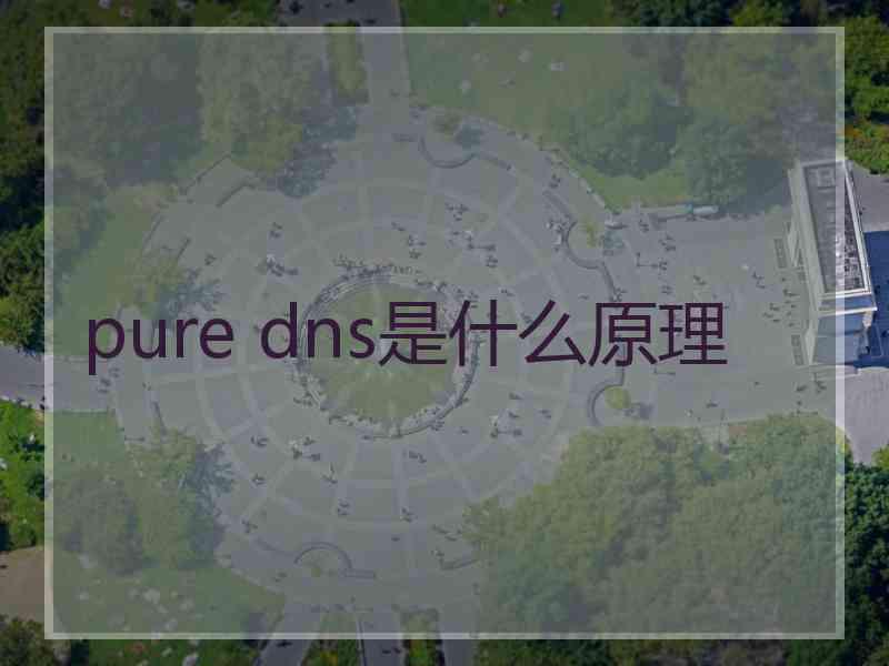 pure dns是什么原理