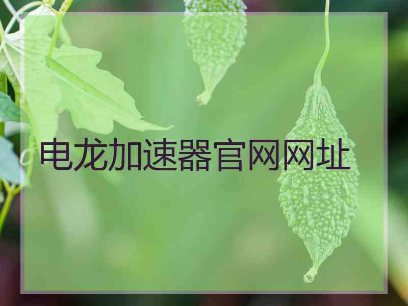 电龙加速器官网网址