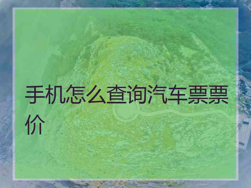 手机怎么查询汽车票票价