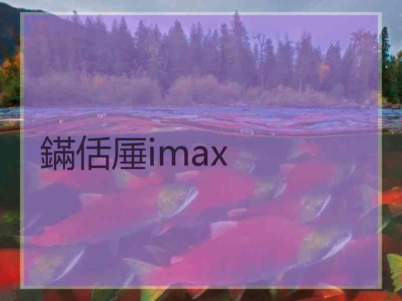 鏋佸厜imax