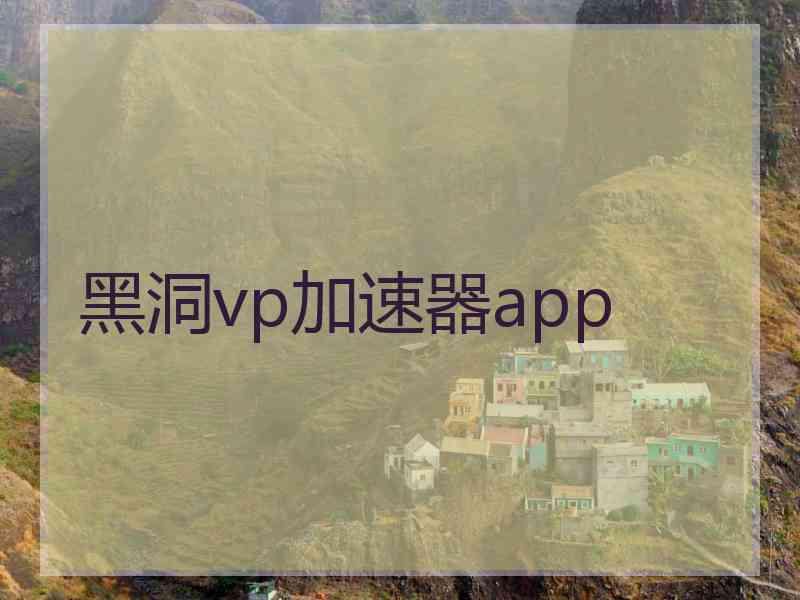 黑洞vp加速器app