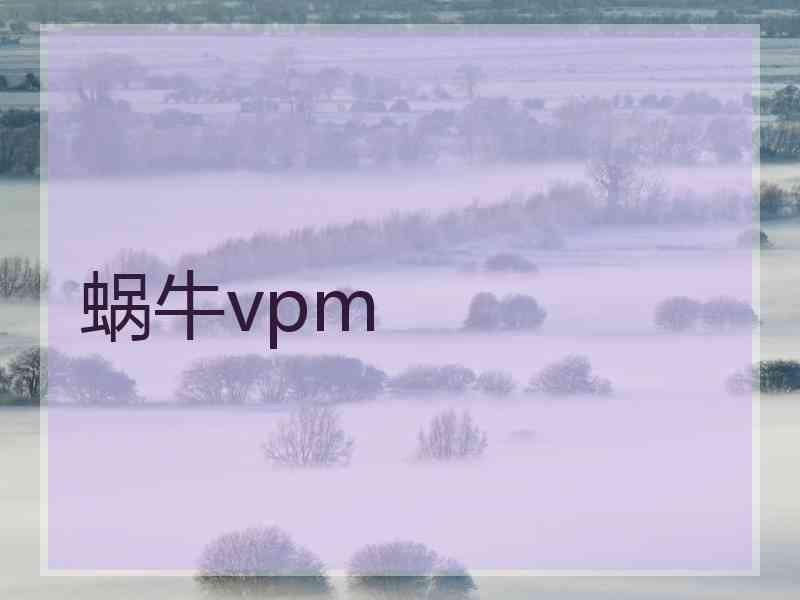 蜗牛vpm