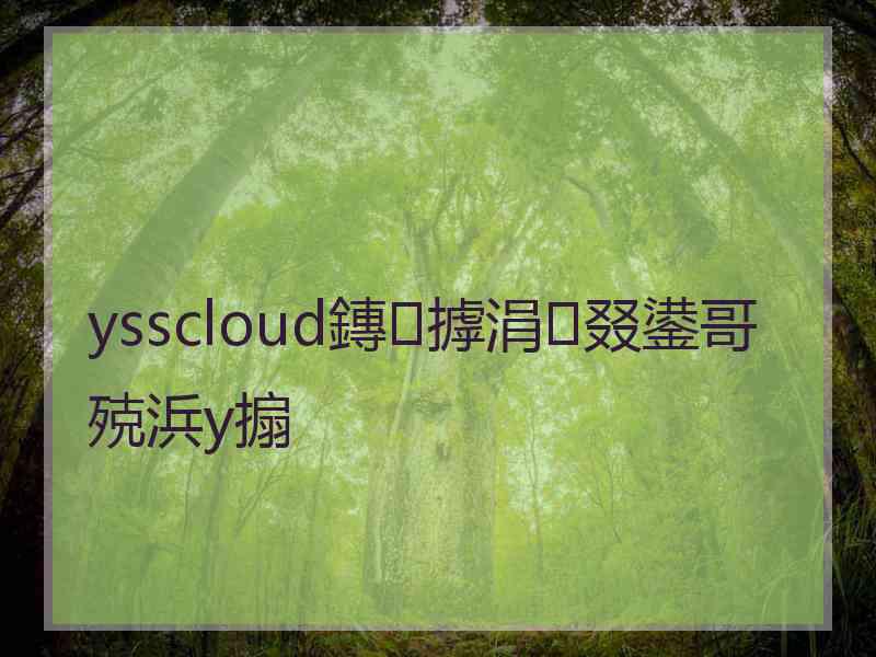 ysscloud鏄摢涓叕鍙哥殑浜у搧