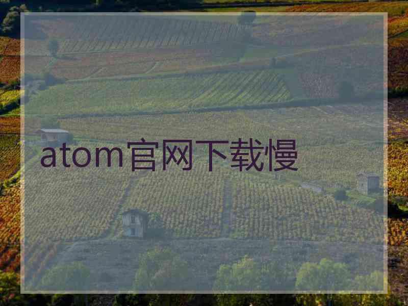 atom官网下载慢