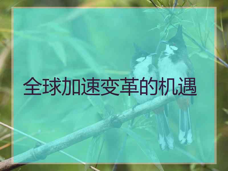 全球加速变革的机遇