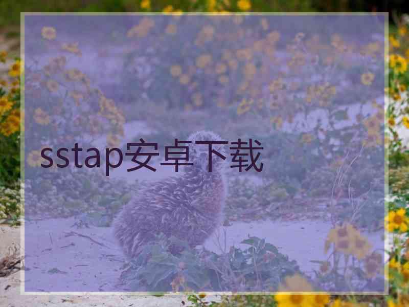 sstap安卓下载