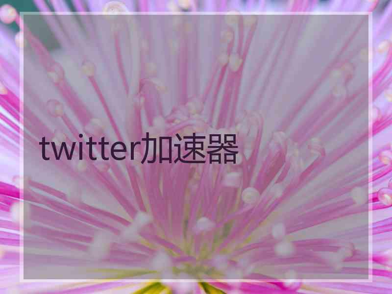 twitter加速器