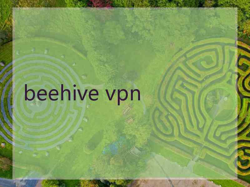 beehive vpn