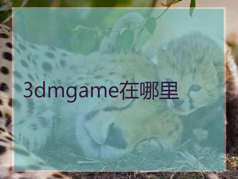 3dmgame在哪里