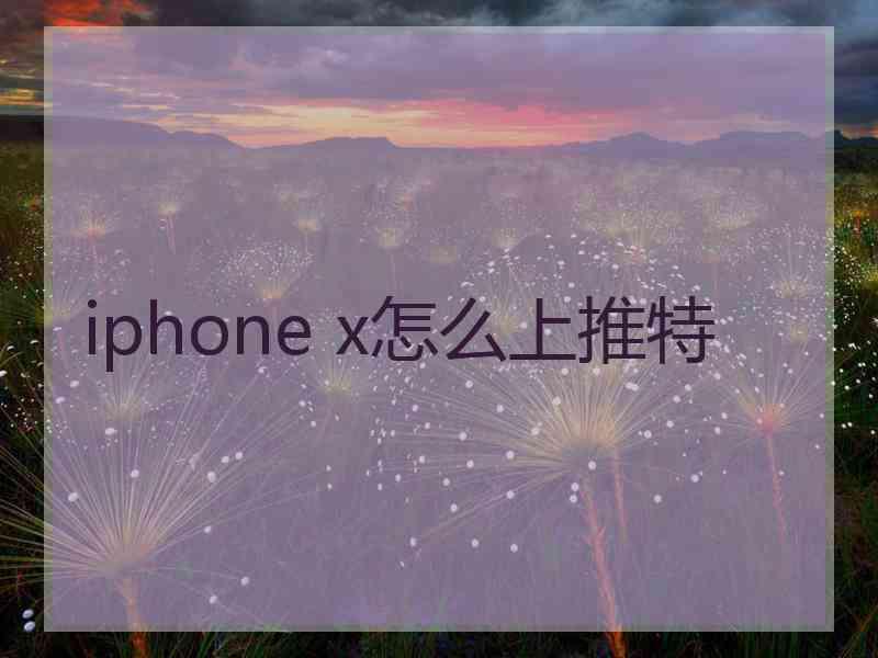 iphone x怎么上推特