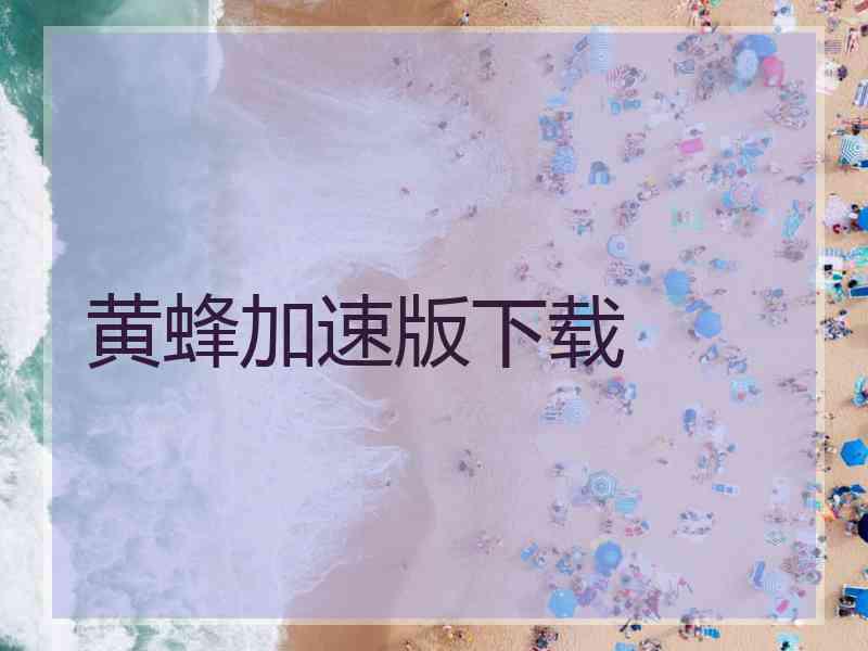 黄蜂加速版下载