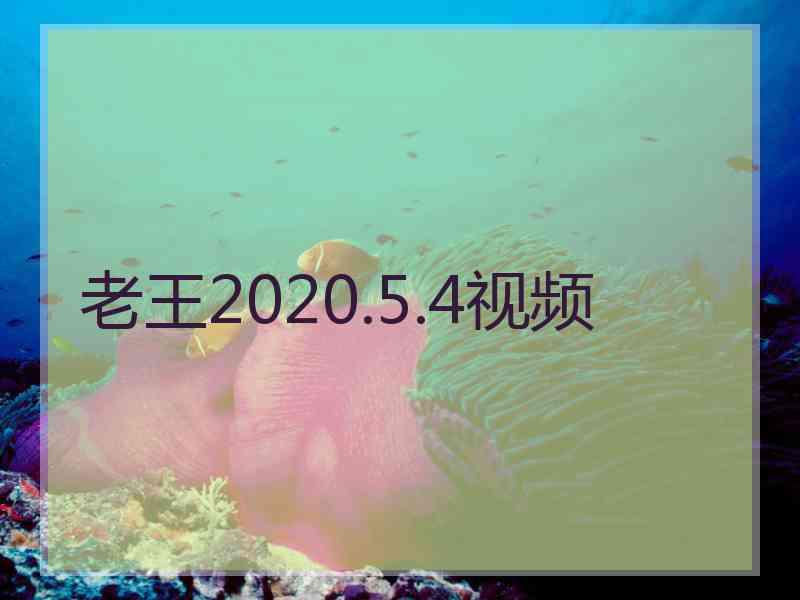 老王2020.5.4视频