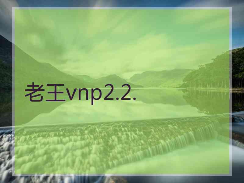 老王vnp2.2.