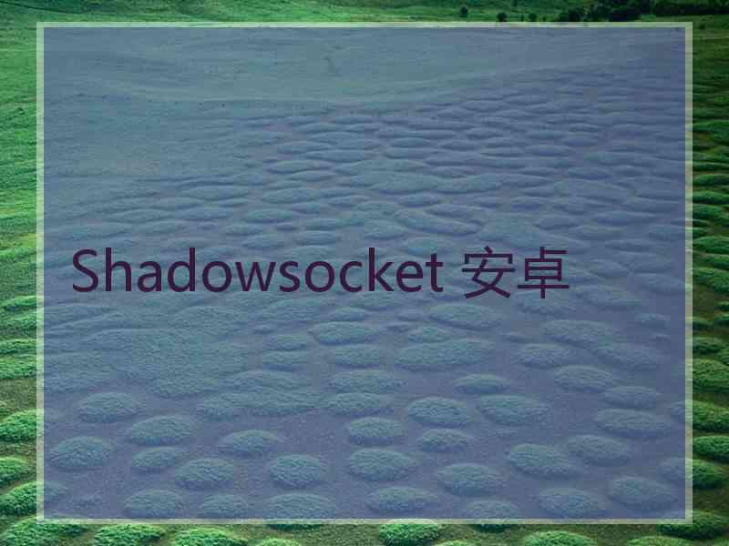 Shadowsocket 安卓