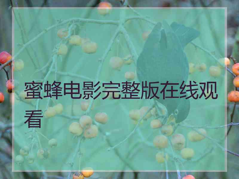 蜜蜂电影完整版在线观看