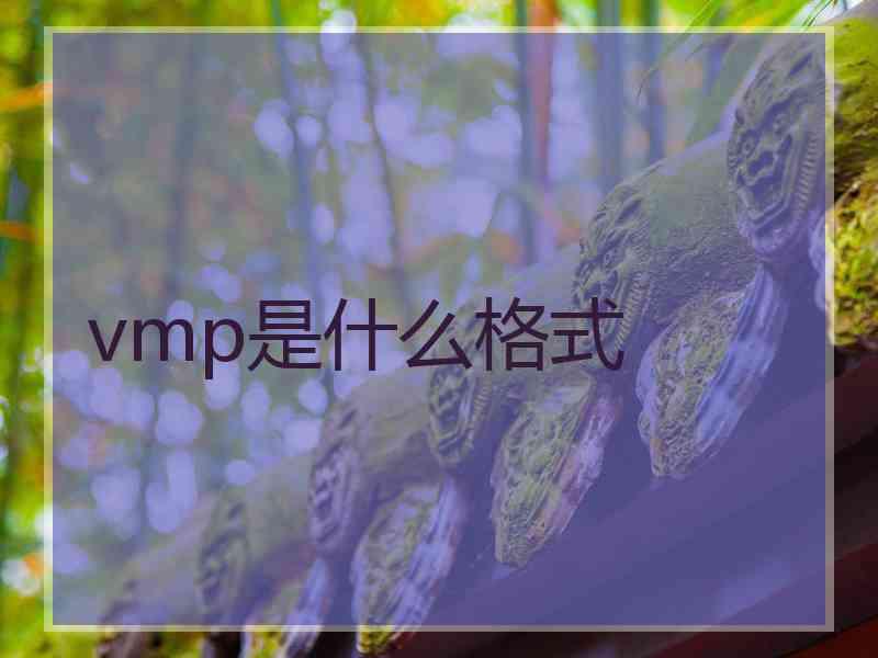 vmp是什么格式