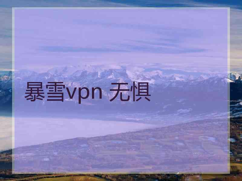 暴雪vpn 无惧