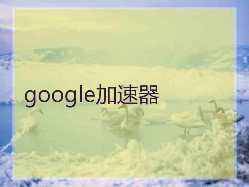 google加速器