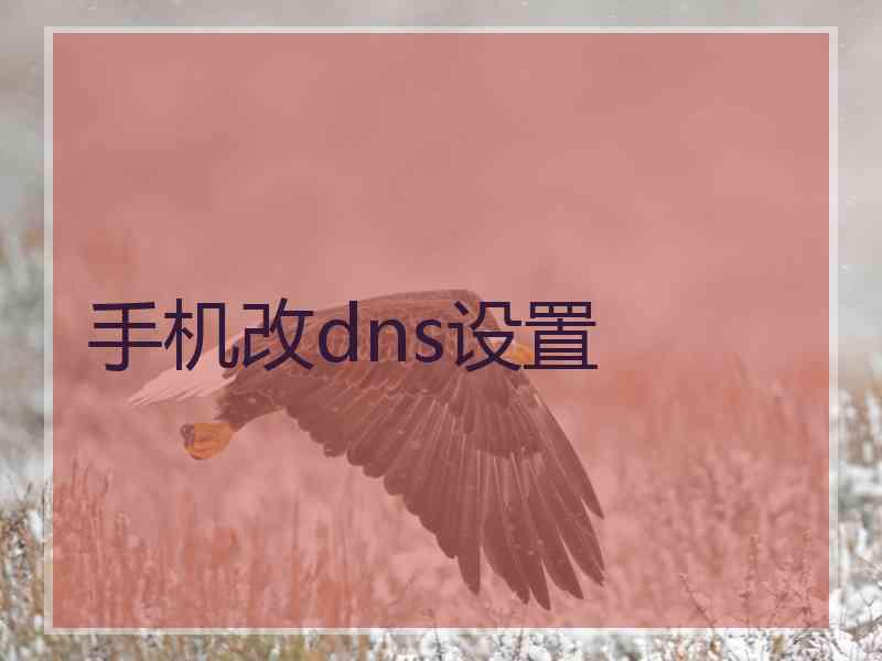 手机改dns设置