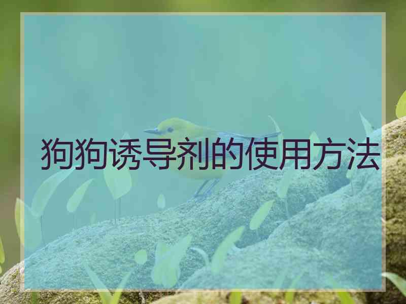 狗狗诱导剂的使用方法