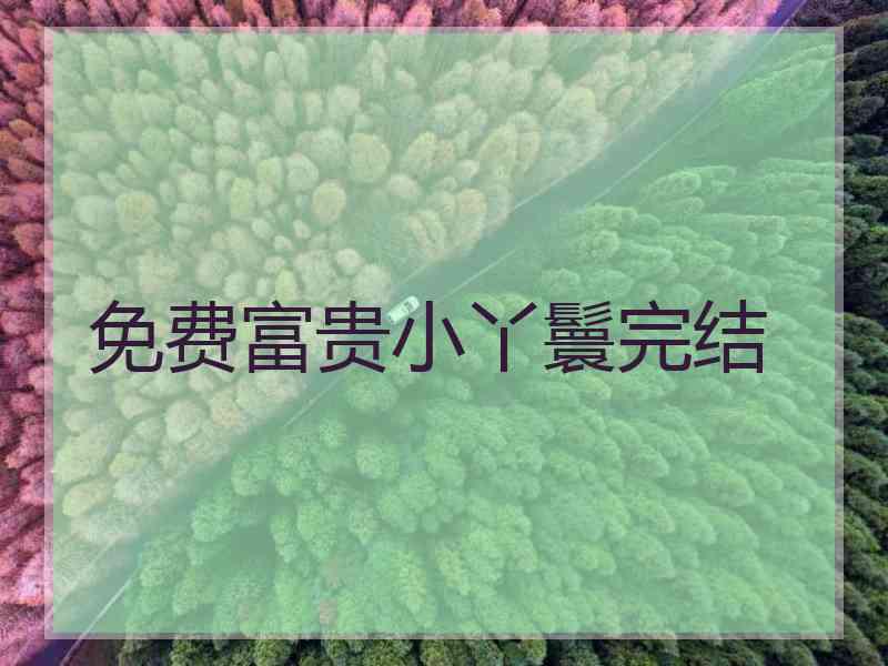 免费富贵小丫鬟完结