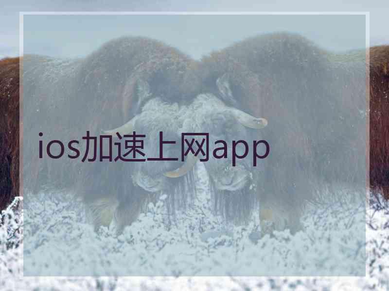 ios加速上网app