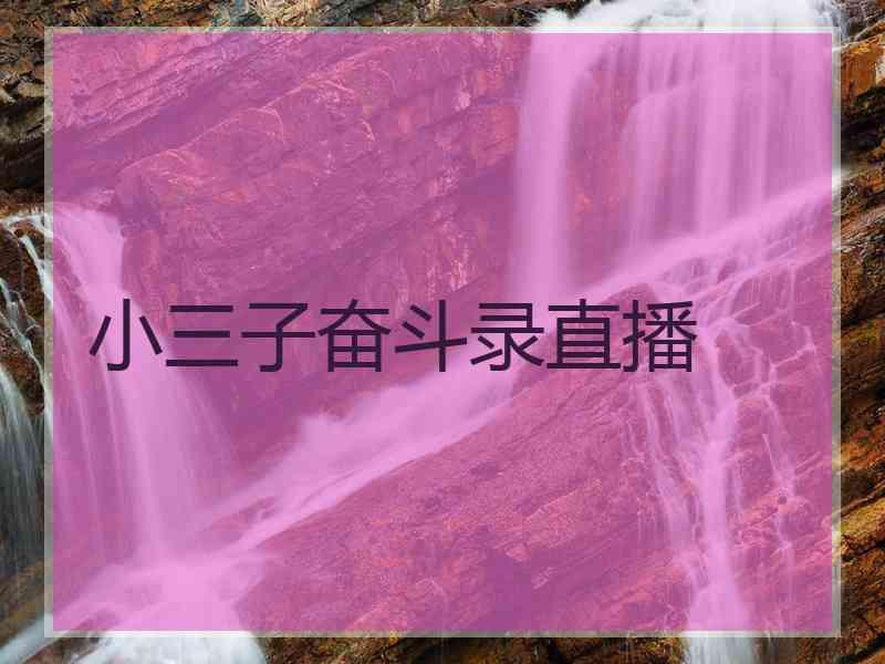 小三子奋斗录直播