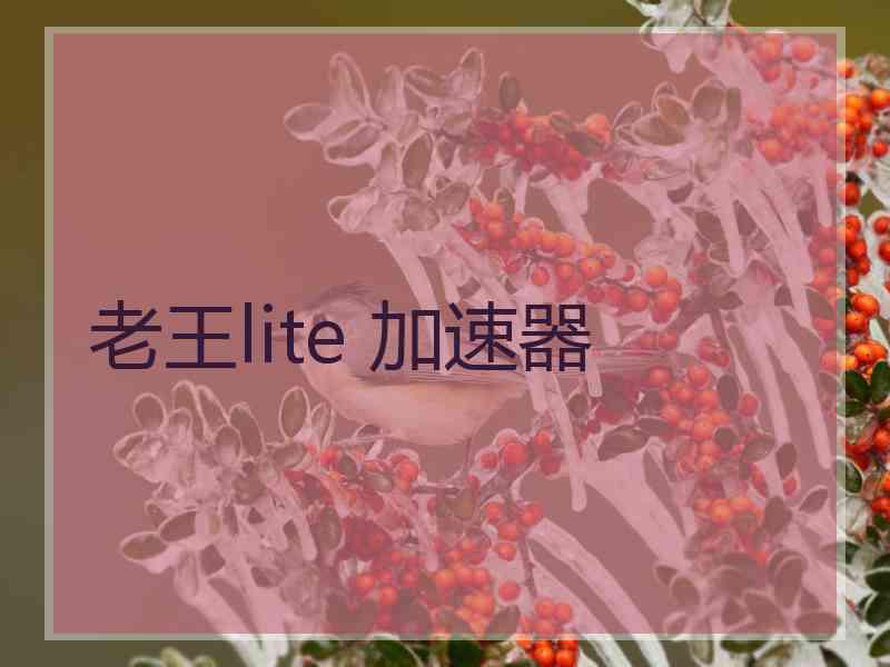 老王lite 加速器