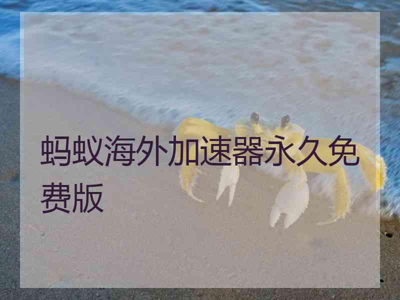 蚂蚁海外加速器永久免费版