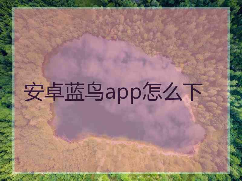 安卓蓝鸟app怎么下