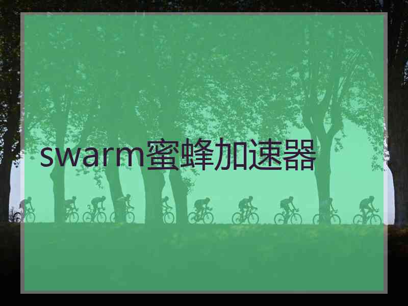 swarm蜜蜂加速器