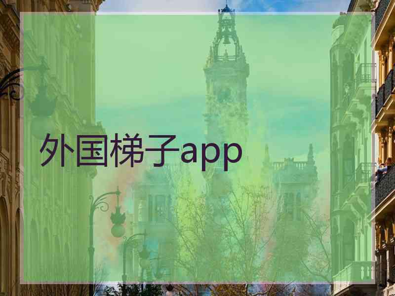 外国梯子app