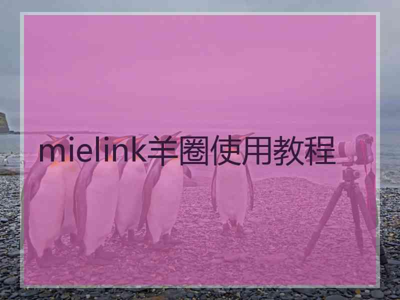 mielink羊圈使用教程