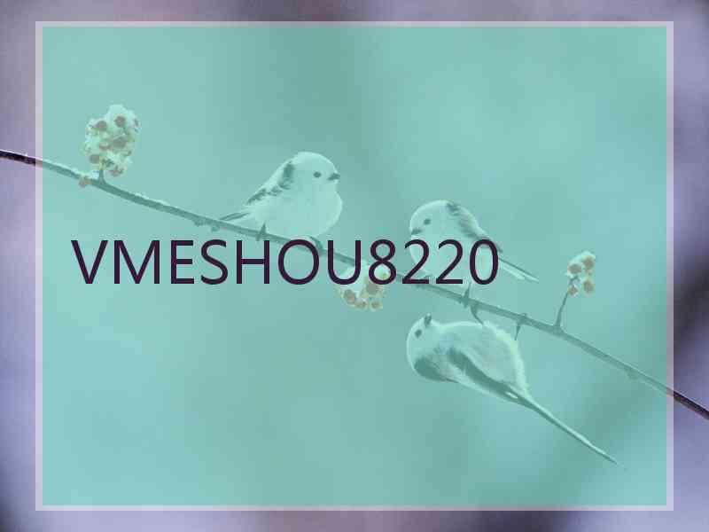 VMESHOU8220