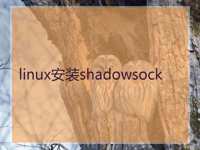 linux安装shadowsock