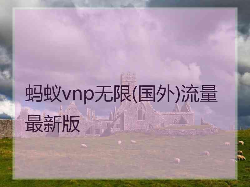 蚂蚁vnp无限(国外)流量最新版