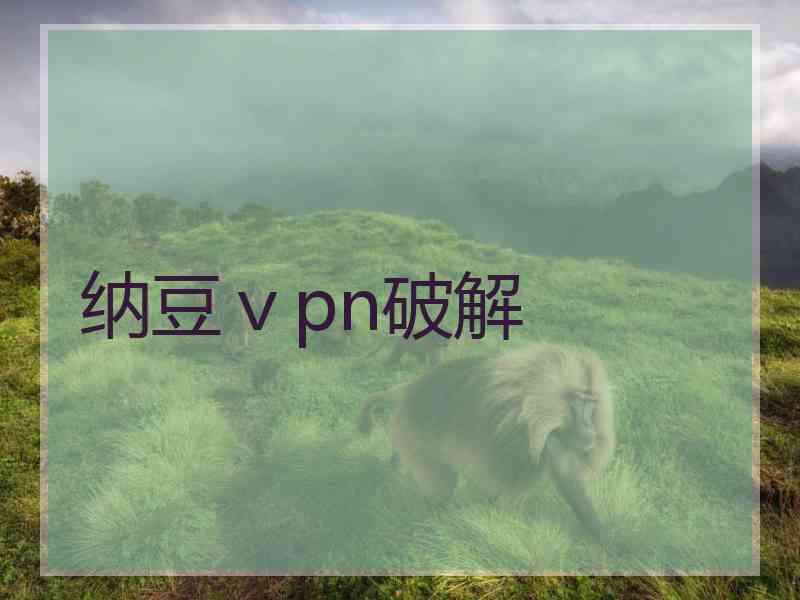 纳豆ⅴpn破解