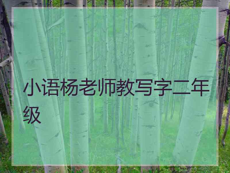 小语杨老师教写字二年级