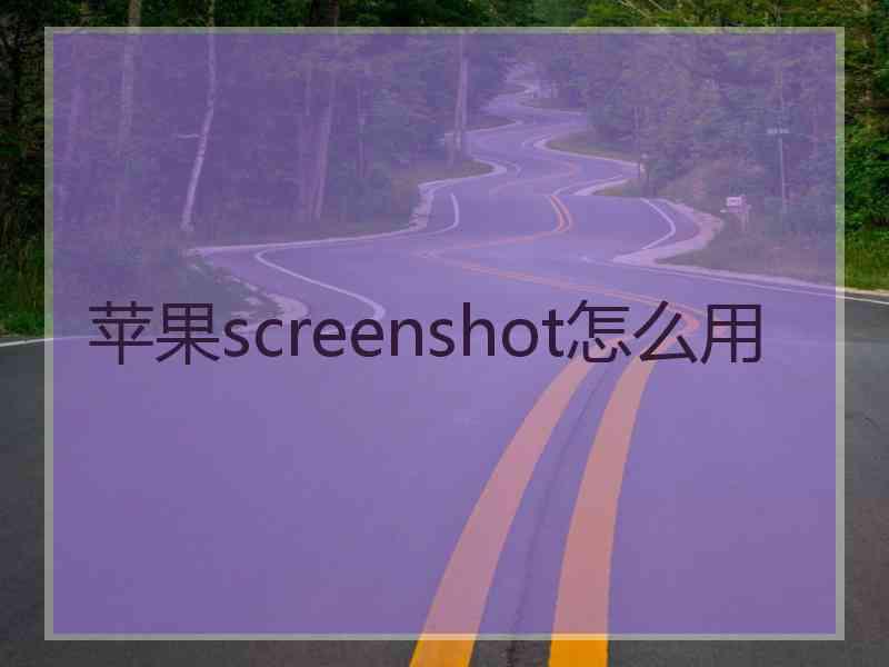 苹果screenshot怎么用