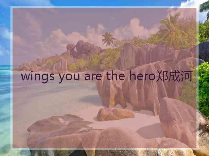 wings you are the hero郑成河