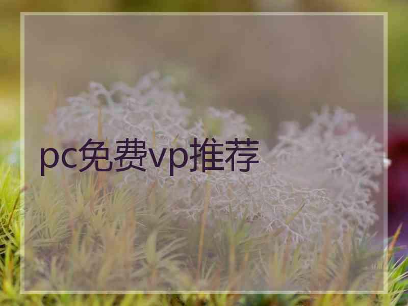 pc免费vp推荐