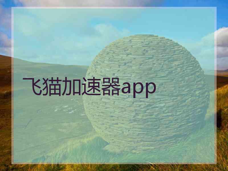 飞猫加速器app