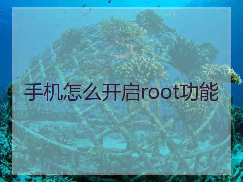 手机怎么开启root功能