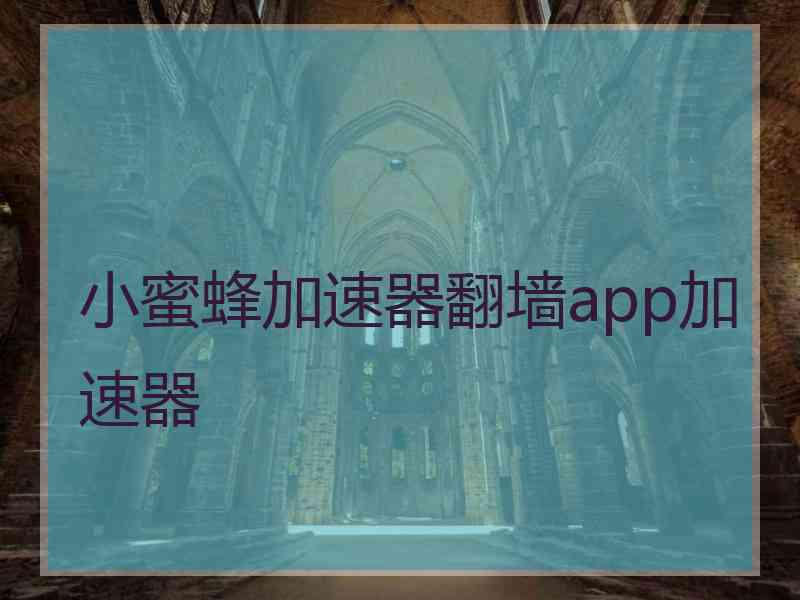 小蜜蜂加速器翻墙app加速器