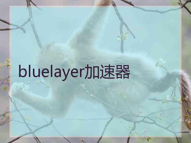 bluelayer加速器